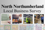 Local Business Survey