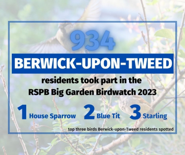 Berwick Big Garden Bird Watch